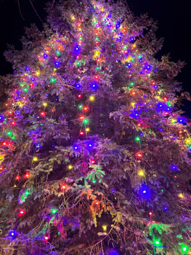 Niagara tree lighting Monday kicks off Christmas events